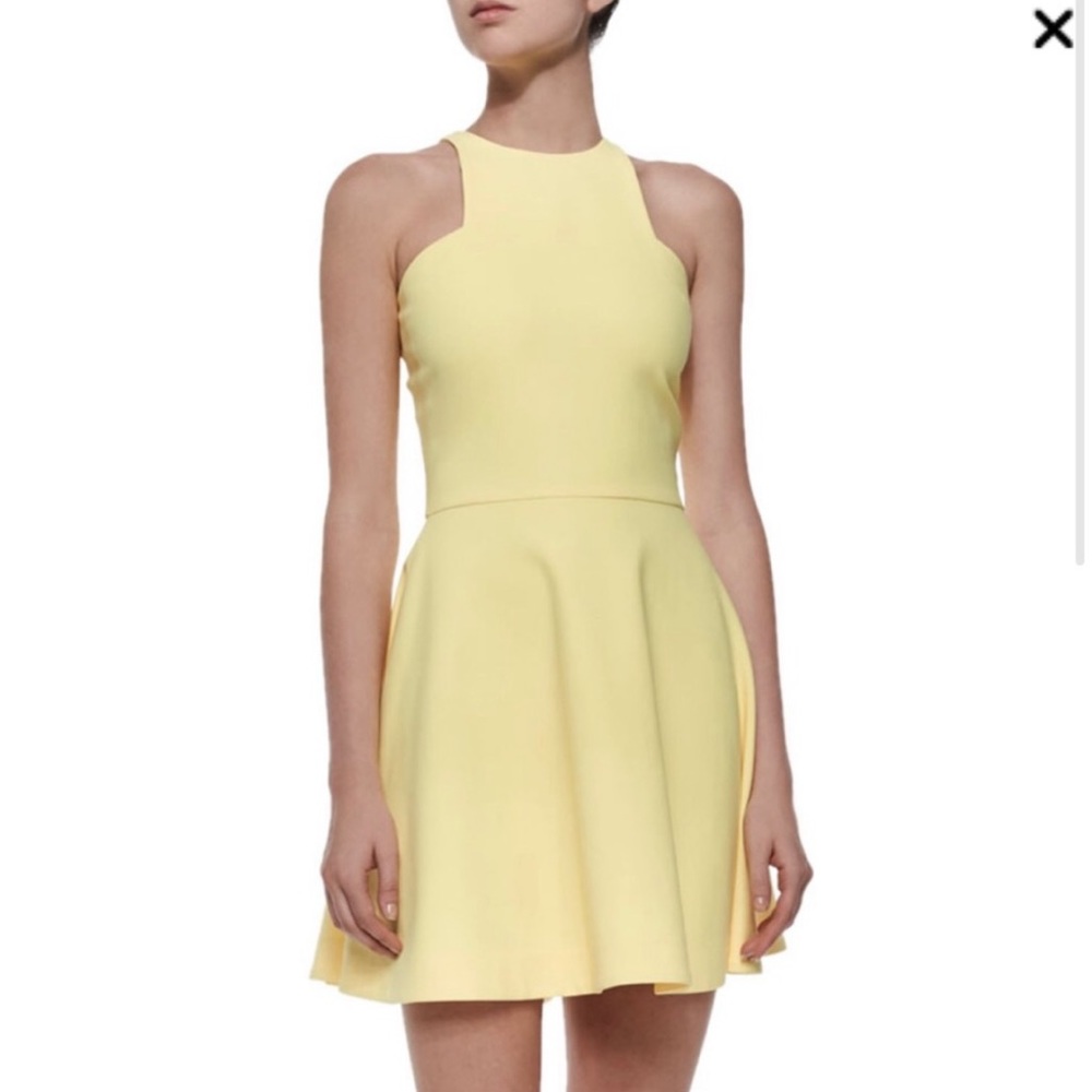 Elizabeth and James Clarissa ponte circle skater mini dress size 4